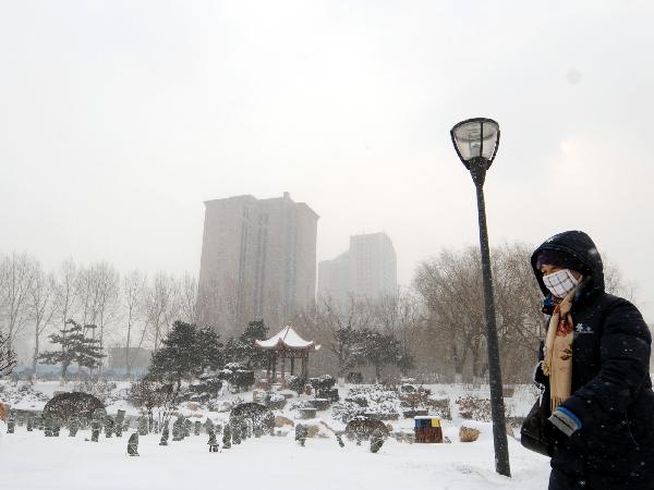 A citizen walk in snow in Changchun, capital of northeast China&apos;s Jilin Province, Nov. 27, 2010. Snowfall hit most parts of the province on Saturday with temperature drop of up to 9 degrees centigrade. [Xinhua]