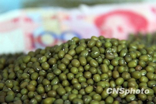 豆你玩 (Kidding Mungbean)