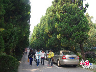 Nanjing Normal University is a normal university located in Nanjing, Jiangsu, China. Photo shows the beautiful scenery in Nanjing Normal University, Jiangsu Province. [Photo by Wang Fengming]