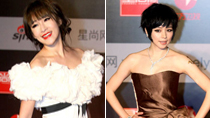 Singer-and-actress arrive at the 2010 Star Style Awards in Shanghai, east China, on November 27, 2010.