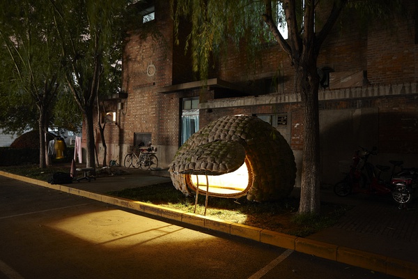 The outside view of Dai's egg-style house at night in Beijing, Dec 1st, 2010. [Photo/Beijing Times ]