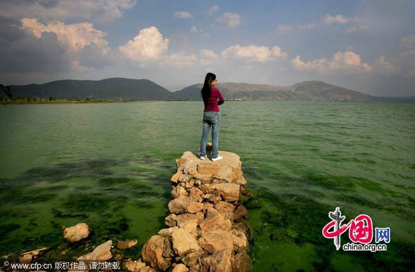 A people looks at the green Xingyun Lake on May 2, 2010 in Yuxi, Yunnan Province of China. Mr. Mo, 60-year-old, lives in Longjie Village near Xingyun Lake. He recalls that he often swam in the lake when he was 15 years old. In recent years, the lake gone from bad to worse and many dead fishes appeared at the lakeside. Even worse this year the water became green and had terrible stench in a hot day. [CFP]