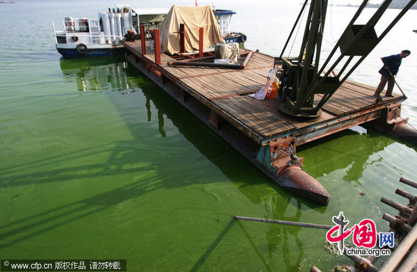 Image shows the blue-green algae coverd the water surface of Xingyun Lake taken on November 10, 2010 in Yuxi, Yunnan Province of China. [CFP]