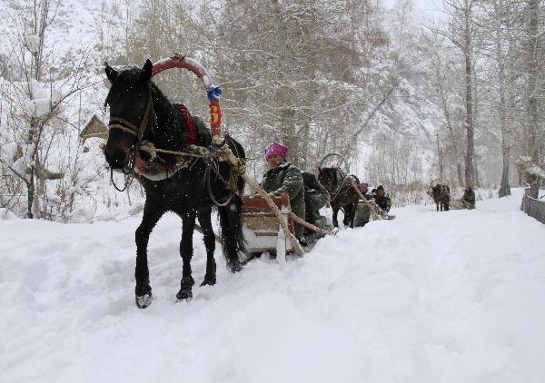 A woman of China's Kazak ethnic group rides a horse sledge in the snow in Altay City of northwest China's Xinjiang Uygur Autonomous Region, Nov. 30, 2010. Altay City is an attractive tourism destination for domestic people interested in winter traveling. (Xinhua/Tang Xiaobo)