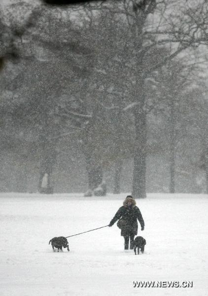 A woman walks her dogs in southern London, Britain, Dec. 2, 2010. The large-scale snowfall since last week has badly disrupted the transportation system in Britain by hitting airports, roads and railways. [Xinhua]