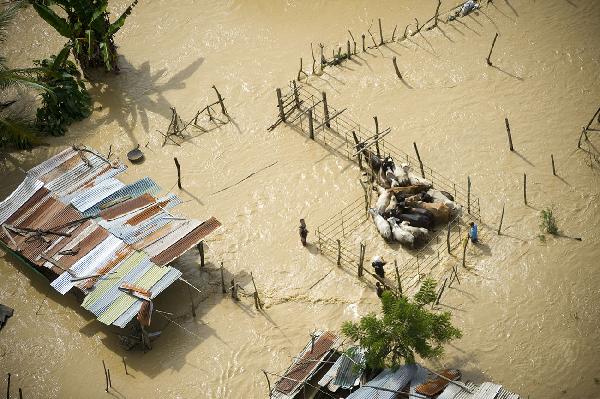 This image provided by the Venezuelan Government shows an aerial view of flooded areas in Barlovento, Miranda State, Venezuela, on Dec. 2, 2010. [Xinhua/Venezuelan Government]