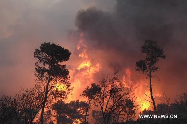 A massive forest fire is seen in the Carmel Forest near the Israeli northern city of Haifa, Dec. 2, 2010. At least 40 people are dead in what officials describe as a historic 'firestorm' that broke out early Thursday in the Carmel mountain range overlooking the city. [JINI/Xinhua]