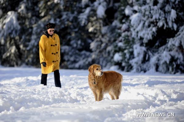 A resident and a dog walk in the snow in Geneva, Switzerland, Dec. 2, 2010. Weather turned fine in Geneva on Thursday after the continuous snowfall. [Xinhua]