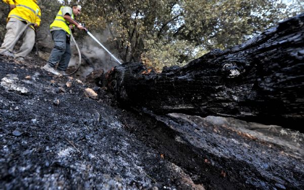 A burnt field is seen near Isfiya, on Mount Carmel, near Haifa, north Israel, Dec. 5, 2010. After more than three days&apos; arduous battle, Israeli firefighting authority announced Sunday afternoon that it had fully contained the inferno, according to local news service Ynet. [Xinhua]