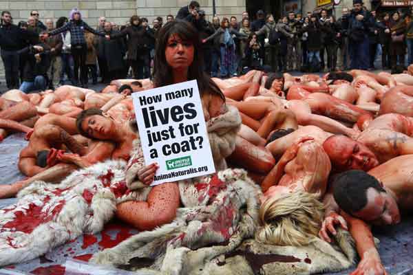 Activists from Anima Naturalis protest against the use of fur in Plaza Sant Jaume, central Barcelona December 5, 2010 . [Xinhua/Reuters]