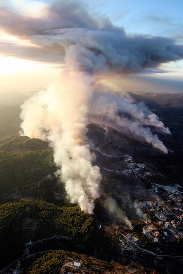 Burnt field is seen near Isfiya, on Mount Carmel, near Haifa, north Israel, Dec. 5, 2010. After more than three days&apos; arduous battle, Israeli firefighting authority announced Sunday afternoon that it had fully contained the inferno, according to local news service Ynet. [Xinhua]