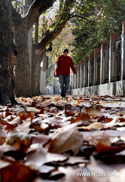 A pedestrian walks in a street covered by fallen leaves in Shanghai, east China, Dec. 6, 2010. Many places in China witnessed strong wind and significant temperature drop due to a cold wave.[Xinhua] 