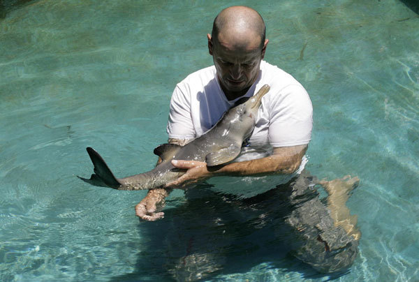 Richard Tesore, head of the NGO Rescate Fauna Marina, holds a female baby La Plata river dolphin in a pool in Piriapolis, 100 km (62 miles) east of Montevideo, Dec 6, 2010. [China Daily/Agencies]