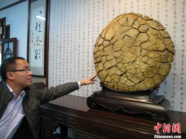 Look, don't bite: Stone banquet