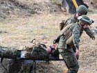 U.S., Japan hold field training drill