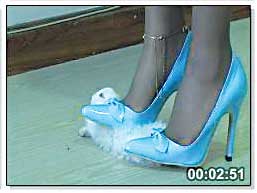 High Heels Crush Rabbit