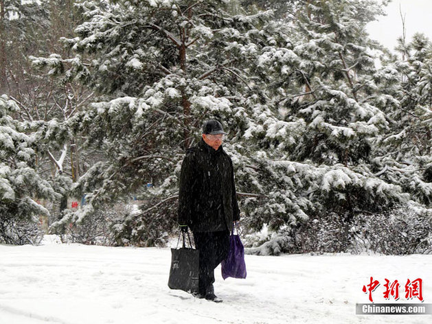 Cold wave hits Changchun, Jilin province and causes heavy snow, Dec 10, 2010. [chinanews.com] 