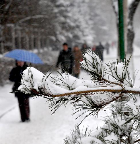 Cold wave hits Changchun, Jilin province and causes heavy snow, Dec 10, 2010. [Xinhua] 