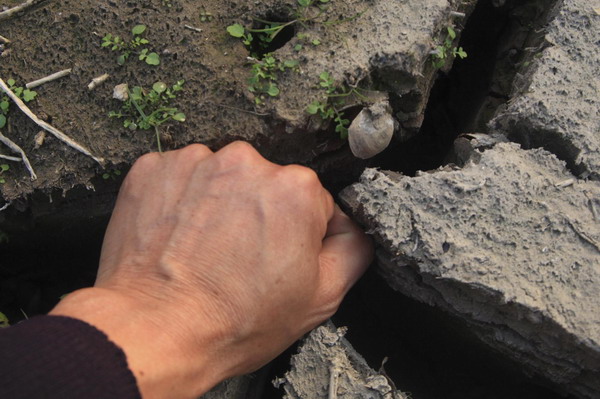 A fist can be squeezed into cracks of dried up land in Hukou county, East China&apos;s Jiangxi province, Dec 10, 2010. [Xinhua] 