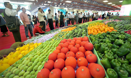 Fruits and vegetables are seen at a tropical agricultural produce trade fair that opened yesterday in south China's Hainan Province. The fair will end tomorrow. As November's CPI soared to 5.1 percent, the rising cost of living is hitting household budgets hard. Food prices in November surged 11.7 percent from a year earlier. [Shanghai Daily]