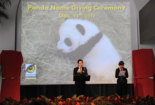 Zang Chunlin (center), secretary-general of the China Wildlife Conservation Association, delivers a speech during the naming ceremony of an Austria-born panda cub in Vienna, Dec 13, 2010. 