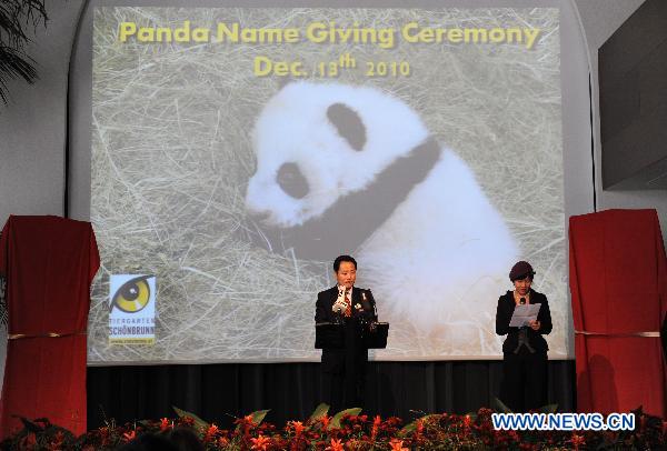 Zang Chunlin, Secretary of the China Wildlife Conservation Association (CWCA), speaks during a panda name-giving ceremony held in Zoo Vienna in Vienna, capital of Austria, Dec. 13, 2010. Zoo Vienna held a name-giving ceremony for a male panda who was born on Aug. 23 this year. 