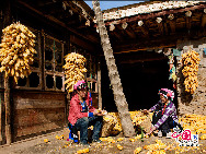 Danba lies along the eastern border of the Ganzi Tibet Autonomous Region in the western Sichuan. The county of Danba has been dubbed 'a kingdom of one thousand castles.' Groups of castles were scattered around strategic positions in the valley. Towers and citadels were built hundreds of years ago for defensive purposes and delivering messages between villages. Looking from afar, the groups of towers and castles standing in the gorgeous Danba Valley is breathtaking.[Photo by Liu Guoxing] 