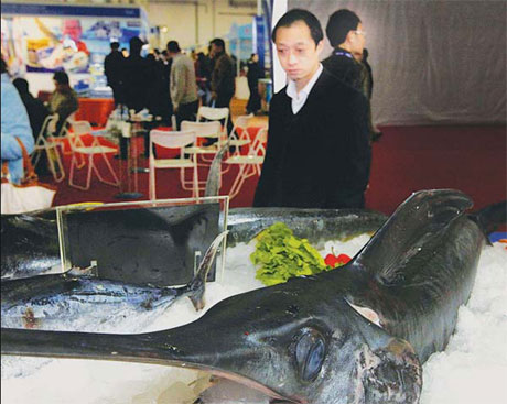 A swordfish on display at the Fifth Shanghai International Fisheries and Seafood Expo. In 2009, Shanghai Fisheries General Corp hauled 141,500 tons of seafood. 