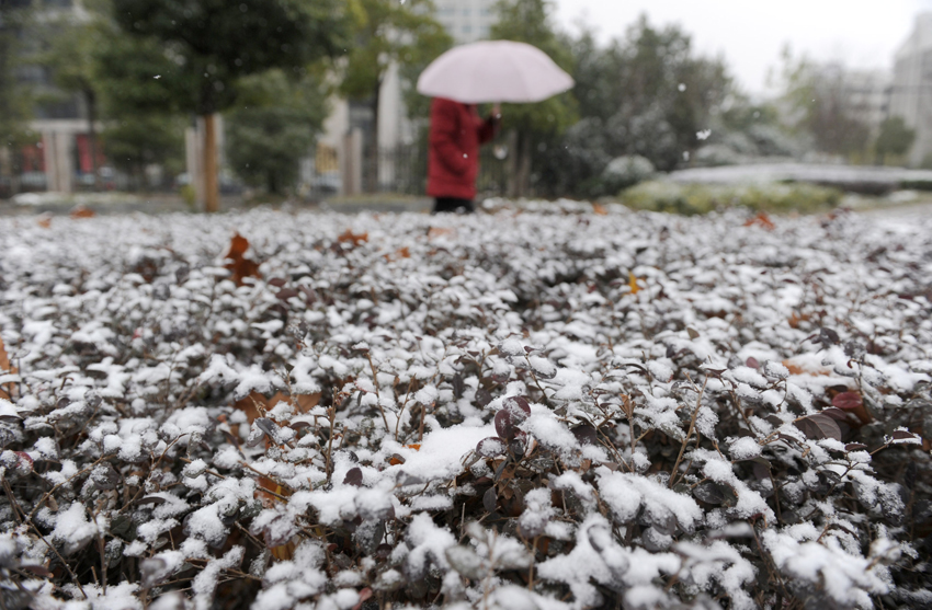 A woman passes by the snow-covered green belt in Hefei, capital of central China&apos;s Anhui province, Dec 15, 2010. Anhui Meteorological Bureau issued blue warning signal for snowstorm at 11:00 am Dec 15, 2010.[Photo/Xinhua] 