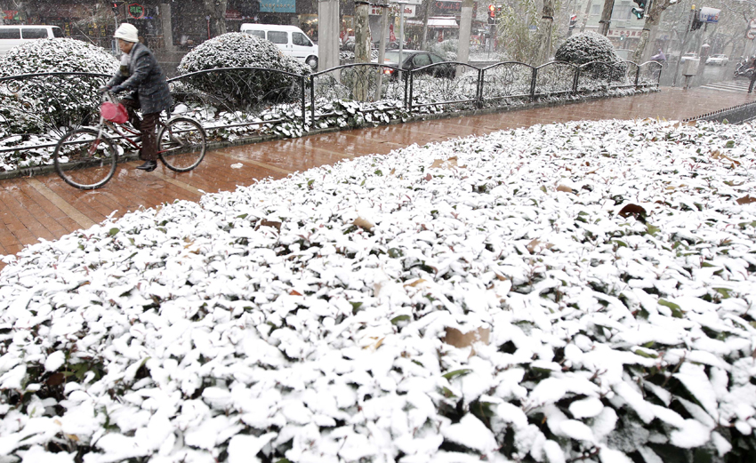 A woman rides her bike in snow in east China&apos;s Shanghai, Dec. 15, 2010. Various parts of China, including Shanghai, embraced the first snow of this winter on Wednesday. A low temperature alarm has been issued by local meteorological department. [Xinhua]