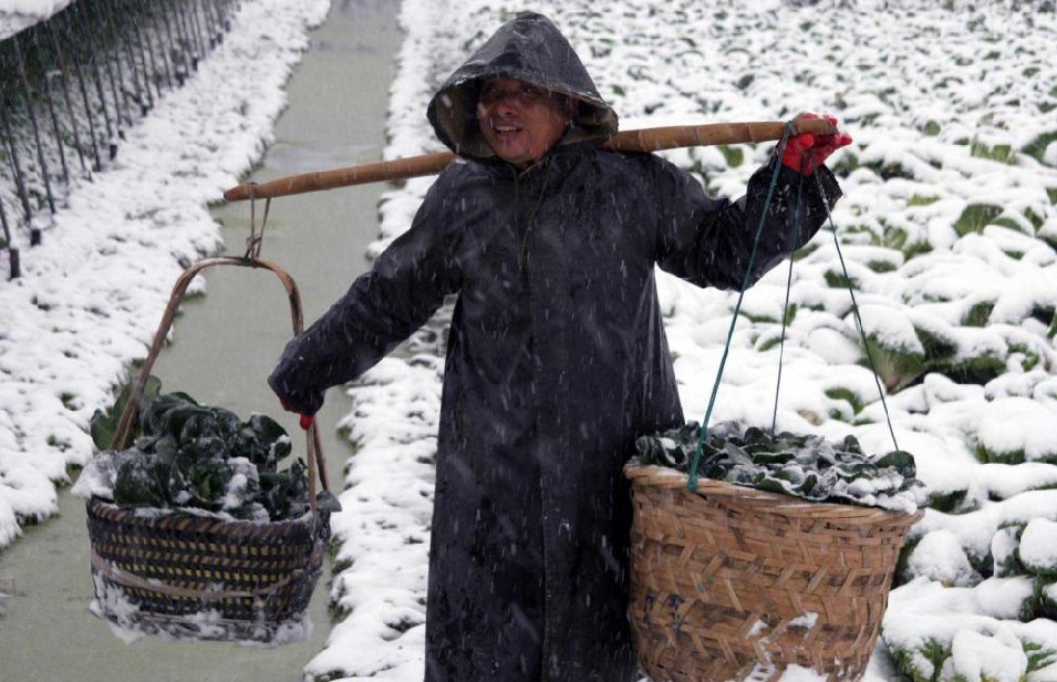 A farmer balances vegetables in heavy snow at Deqing county in East China&apos;s Zhejiang province, Dec 15, 2010. [Xinhua]