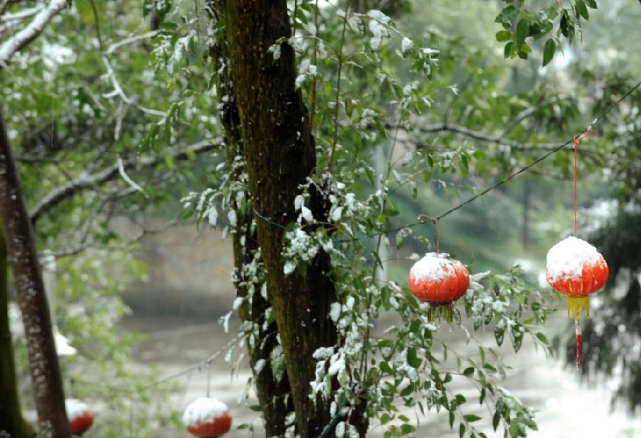 Red lanterns are covered with snow in Chongqing, Dec 16, 2010. [Xinhua]