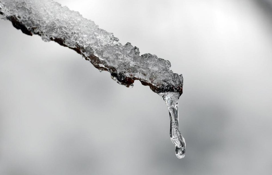 Icicles form on tree branches in Chongqing, Dec 16, 2010. [Xinhua]