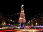 Israeli build recycled Christmas tree 