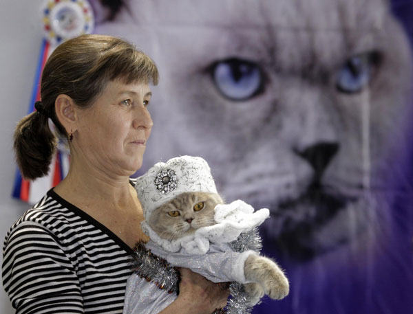 A woman holds her cat that has been prepared for a regional cat exhibition in Russia&apos;s southern city of Stavropol Dec 19, 2010.[China Daily/Agencies]