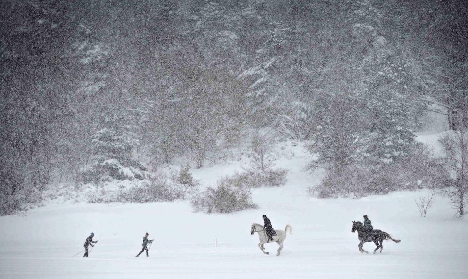 Horsemen gallop and skiers ski through the snow falling over the Gardet Heath, a recreation area close to the Djurgarden natural park in Stockholm, Sweden, Dec 19, 2010. [China Daily/Agencies] 