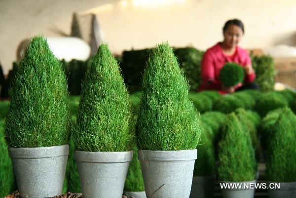 A woman checks the Christmas trees made from grass in Linyi of east China&apos;s Shandong Province, Dec. 18, 2010. A craftwork manufacturer in Linyi designs and makes eco-friendly Christmas decorations with grass, wicker, iron wires, etc, and the Christmas products of the manufacturer are welcomed in European and American countries. [Xinhua] 