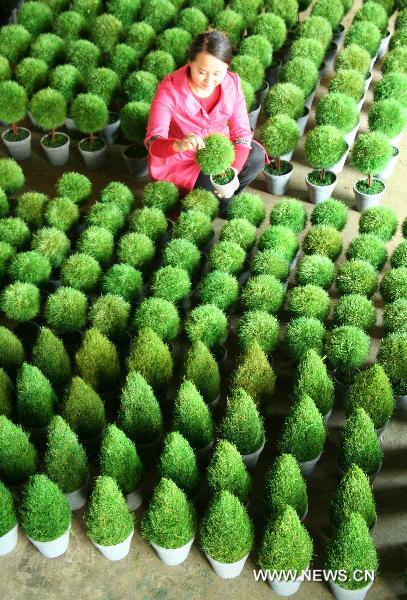 A woman checks the Christmas trees made from grass in Linyi of east China&apos;s Shandong Province, Dec. 18, 2010. A craftwork manufacturer in Linyi designs and makes eco-friendly Christmas decorations with grass, wicker, iron wires, etc, and the Christmas products of the manufacturer are welcomed in European and American countries.