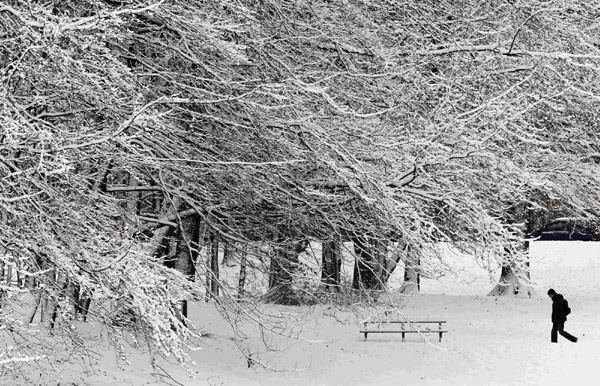 A man walks in a snow-covered park in Brussels December 20, 2010. [China Daily/Agencies]