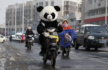 A man dressed in a panda costume rides an electric bike on a street of Ningbo, East China&apos;s Zhejiang province, Dec 16, 2010. The man, surnamed Wen, said he bought the costume for a shopping mall&apos;s promotional activity last year. Now he wears the panda uniform to keep out the cold, despite the looks he gets from passers-by. [Southeast Business Newspaper]