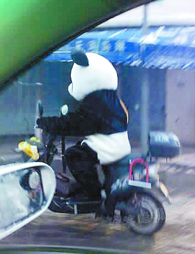 A man dressed in a panda costume rides an electric bike on a street of Ningbo, East China&apos;s Zhejiang province, Dec 16, 2010. [www.xici.net]