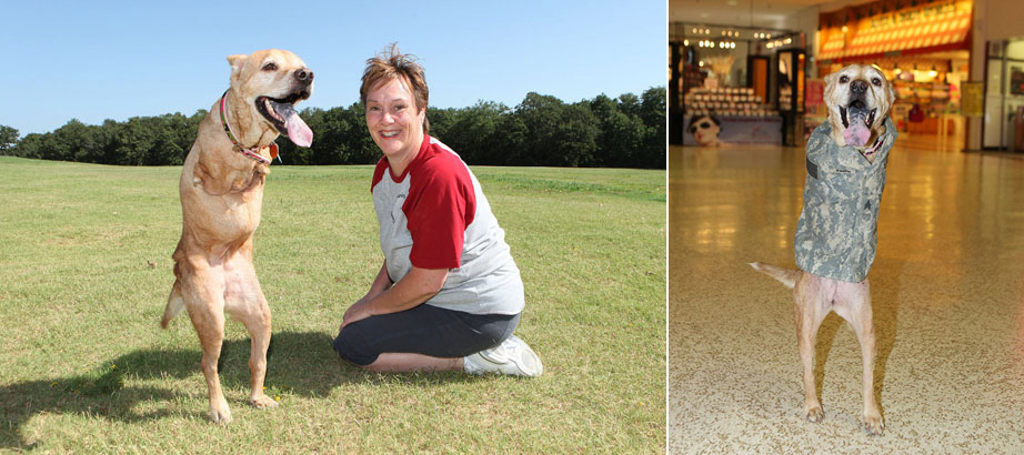 The two-legged dog &apos;Faith&apos; poses with her master. [sina.com.cn]