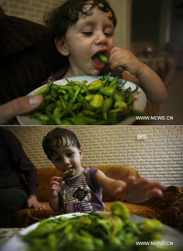 Twenty-month-old Palestinian boy Naaman Amer enjoys eating hot pepper at his home in the West Bank city of Nablus, on October 11, 2010. Amer started eating pepper in all meals when he was in his fourteenth month as he is considered the youngest hot pepper-eater in the world. [Xinhua]