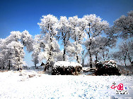 Beautiful frosty scenery appeared on both banks of the Songhua River after a sudden temperature drop and attracted swarms of tourists. Beautiful rime in Jilin is regarded as one of China's four natural wonders along with the landscape of mountains and waters in Guilin, Guangxi Zhuang Autonomous Region, the Stone Forest in Yunnan province, and the Three Gorges along the Yangtze River. [Photo by Yang Renyan]  
