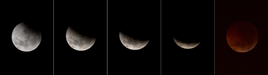 A partial lunar eclipse is seen in Conakry, Guinea, Dec. 21, 2010. During the eclipse, the Earth lined up directly between the Sun and the Moon, casting Earth&apos;s shadow over the Moon. [Xinhua]