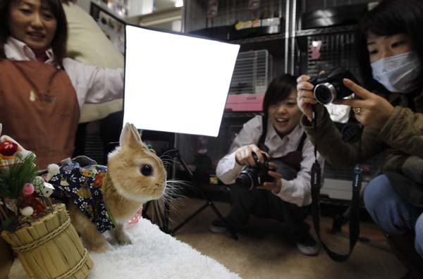 A woman (R) takes a picture of her pet rabbit dressed in a kimono at a photo event to celebrate Christmas and the Year of the Rabbit at a pet rabbit shop in Yokohama, south of Tokyo, December 21, 2010. [Xinhua/Reuters]