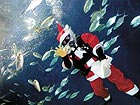 Swimming Santa Claus at Shanghai aquarium 