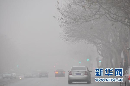 Cars drive in heavy fog in Dalian, Liaoning province, Dec 22, 2010. [Xinhua]