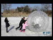 The tourists play New Zealand Zorbs at the Old Summer Palace Imperial Ice and Snow Festival in Beijing on Dec 22, 2010. The festival starting Wednesday, combines ice and snow sports with cultural performances. [Photo:Xinhua]  