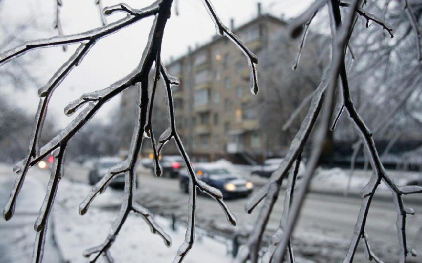 Cars are seen through frozen tree branches in Moscow, Dec 26, 2010. [China Daily/Agencies]